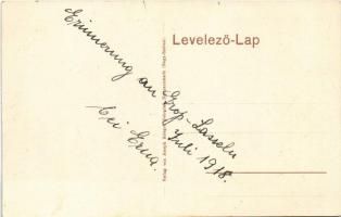 Szászszentlászló, Gross-Lasseln, Laslea; Evangélikus iskola / Lutheran school