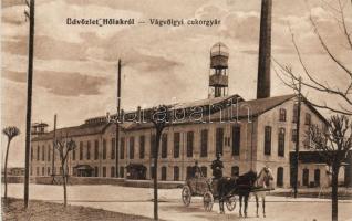 Hőlak Sugar factory