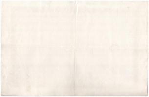 Budapest 1893. "Budai Hegypályatársaság" névre szóló élvezeti jegye 100Ft-ról, szelvénnyel...