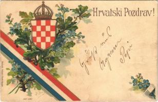 1905 Hrvatski Pozdrav! Naklada Selzer i Rank 11741. / Croatian greeting with coat of arms and flag. Emb. litho (EK)