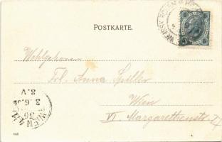 1904 Hranice na Morave, Mährisch Weisskirchen; Art Nouveau litho  (EK)