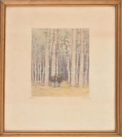 Csillag József (1894-1977): Nyíres. Színezett rézkarc. Üvegezett fa keretben. Lap széle kissé foltos. 24 x 18 cm.
