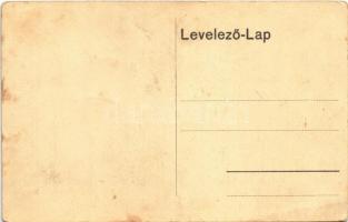 Jablánc, Nyitra-Jablonic, Jablonica; Gróf Apponyi kastélya / castle (EK)