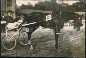 cca 1920 Dámaverseny győztese Horpacs nevű lovával, hátoldalon feliratozott fotó, 14×21 cm
