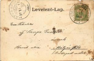 1902 Nagyvárad, Oradea; látkép. Helyfi László kiadása / general view + "VASKÓH - NAGY-VÁRAD 120...