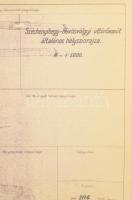 1948 MÁV Széchényi-hűvösvölgyi úttörővasút általános helyszínrajza, 1:5000, 145x58 cm