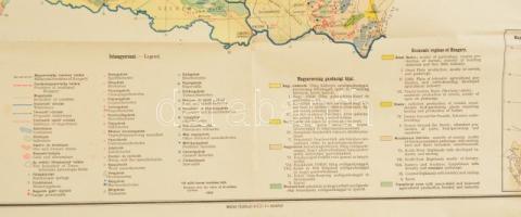 1928 Magyarország gazdaságföldrajzi térképe, dr. Teleki Pál gróf, és dr. Cholnoky Jenő közreműködésé...