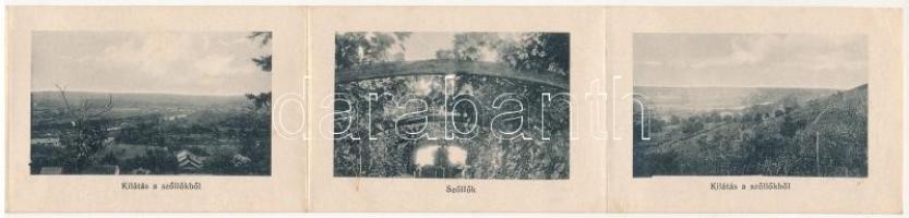 Nagyvárad, Oradea; Szent Vince Intézet, Rimanóczy Kálmán féle szőlők. leporellólap, belül Rimanóczy ...