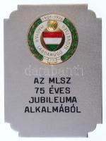 1976. Az MLSZ 75 éves jubileuma alkalmából aranyozott, műgyantás MLSZ-címerrel ellátott fém plakett eredeti tokban (70x95mm) T:2