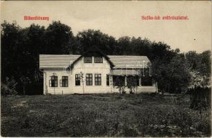 1912 Bihardiószeg, Diosig; Szőke lak az erdővel. Deutsch József kiadása / villa with the forest