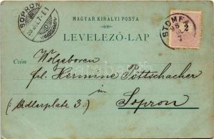 1898 Borostyánkő, Pajstún (Pozsonyborostyánkő, Borinka); várrom. Wetschl Kázmér kiadása / Pajstúnsky...