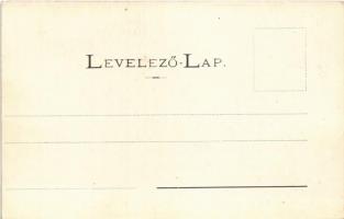 Tapolyhanusfalva, Hanusfalva, Hanusovce nad Toplou; Gróf Dessewffy kastély. Divald Adolf 205. / cast...