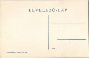 Tapolyhanusfalva, Hanusfalva, Hanusovce nad Toplou; Gróf Dessewffy kastély. Schönberger Adolf kiadás...