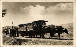 1943 Székelyudvarhely, Odorheiu Secuiesc; Borvíz szállítása, ökrös szekér / mineral water transporting with ox cart (EK)