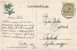 1908 Késmárk, Kezmarok; Tököly vár, szecessziós. Feitzinger Ede No. 687. / castle. Art Nouveau