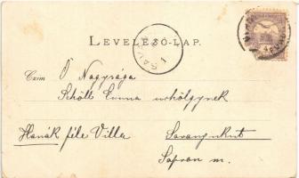 1900 Vihnye, Vyhnye; Gecsányi villa. A villában lakások teljes ellátással jutányos áron kaphatók. Jo...