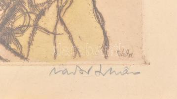 Zádor István (1882-1963): Pipázó juhász. Színes rézkarc, papír, jelzett. Üvegezett fa keretben, 24×2...