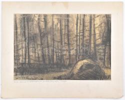 Gádor Emil (1911-1998): Erdő. Szén, papír, jelzett, paszpartun autográf ajándékozási sorokkal 1979-b...