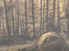 Gádor Emil (1911-1998): Erdő. Szén, papír, jelzett, paszpartun autográf ajándékozási sorokkal 1979-b...