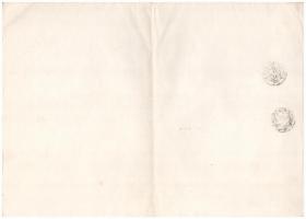 Budapest 1924. "Magyar Általános Fatermelő Részvénytársaság" öt részvénye egyben, egyenkén...