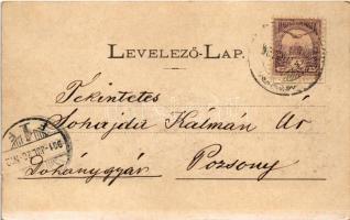 1901 Nagysáros, Velky Saris; Sárosi vár romjai. Fénynyomat Divald műintézetéből / Sarissky hrad / ca...