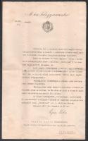 1917 Ugron Gábor (1880-1960) belügyminiszter (a 3. Wekerle-kormány belügyminisztere, 1917. augusztus 23.-1918. január 25.) sajátkezű aláírása egy kinevezésen, miniszteri fejléces papíron, szárazpecséttel, 1917. dec. 20.