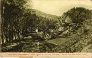 1911 Szinyelipóc, Lipovce;  a völgy közepén a Huszárkő, jobb oldalt a hegyen Bánk bán várának romjai / valley, mountain, castle ruins (fl)