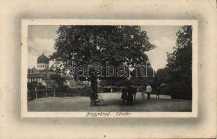 Nagyvárad with Synagogue (EB)