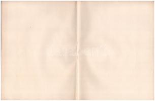 Budapest 1911. "Magyar Szőrüzem és Lószőrfonógyár Részvénytársaság" részvénye 200K-ról, ma...