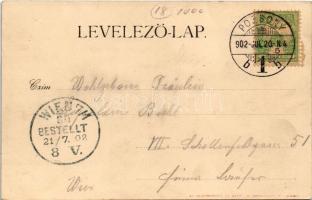 1902 Pozsony, Pressburg, Bratislava; látkép, vár, gőzhajó. C. Ledermann jr. 3296. / general view, ca...