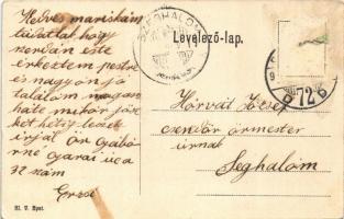 Budapest VII. Pálmaliget nagyvendéglő és teljes panzionátus. Aréna út 74. (mai Dózsa György út) (EK)