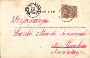 1901 Temes vármegye térképe. Kiadja Károlyi Gy. / Map of Timis county