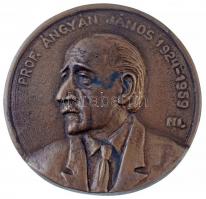 Nowotarski István (1909-) 1979. Prof. Ángyák János 1924-1959 egyoldalas, öntött Br emlékérem (305,36g/95mm) T:1- / Hungary 1979. János Ángyán, Prof., 1924-1959 one-sided, cast Br commemorative medallion (305,36g/95mm) C:AU CS 5.