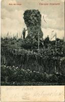 1905 Dömös, Béla vár romjai. Lengyel Rudolf kiadása (fl)