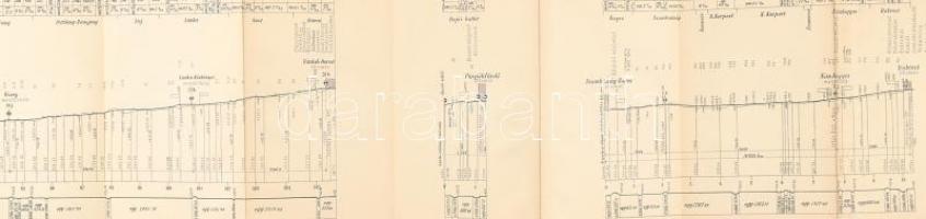 1902 Nagyvárad-Vaskoh-Rontó-Püspökfürdő-Szombatság-Rogoz-Dobrest vasút hossz-szelvénye, 
16x253 cm