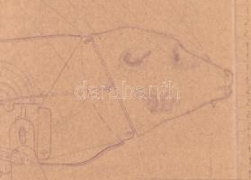 cca 1960-1970 Lemezárugyári játékmackó terve, hajtásnyommal, 30x42 cm