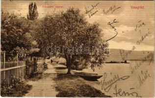 1912 Visegrád, Dunaparti részlet (fa)