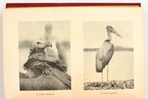 Kovrig János: A sárga kontinensen Déltől Északig.Világjárók Utazások és kalandok. Bp.,én., Franklin,...