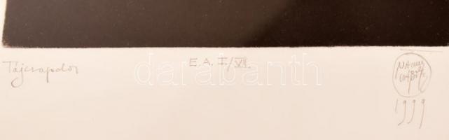 Nagy Gábor (1949-): Tájcsapda (1999). Rézkarc, merített papír. Jelzett, művészpéldány E.A. I/VI. Üve...