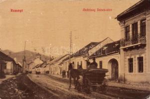 Rozsnyó Andrássy Dénes street