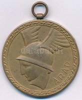 Románia 1925. "Arad / Mezőgazdasági és Ketészeti Bútorok Kiállítása, 1925. aug. 1-10." Br emlékérem "Beleznay perfect" gyártói jelzéssel (40mm) T:2 / Romania 1925. "Arad / Exhibition of Agricultural and Horticultural Furniture, 1-10. Aug 1925." Br commemorative medallion with makers mark "Beleznay perfect" (40mm) C:XF