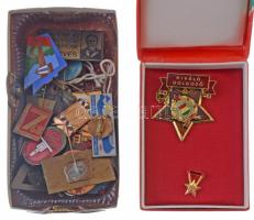 34db vegyes, főleg szocialista jelvény, közte sok zománcozott, közte "Magyar Természetbarát Szövetség - Túravezető" zománcozott Br jelvény (35x42mm)  + "Kiváló Dolgozó" aranyozott, zománcozott kitüntetés miniatűrrel, tokban T:vegyes