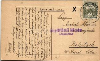 1913 Budapest I. Várbeli heti vásár, zöldségárusok. photo