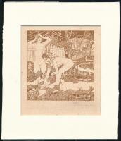 Tichy Gyula (1879-1920): Aktok kertben, cinkográfia, papír, paszpartuban, 12×11,5 cm