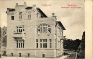 1908 Budapest II. Rózsadomb, Apostol utca, Schack villa