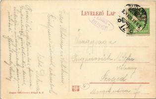 1908 Budapest II. Rózsadomb, Apostol utca, Schack villa