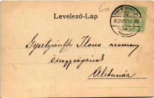 1903 Nagyszentmiklós, Sannicolau Mare;  Grófi kastély, látkép, sörfőzde, Gondűző vendéglő és nyaraló...