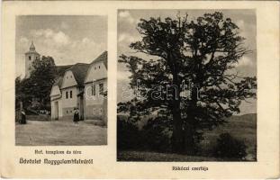 1916 Nagygalambfalva, Golumba Mare, Porumbenii Mari; Református templom és tér, utca, Rákóczi cserfája. M. Szász felvétele / Calvinist church, square, street view, oak tree (EK)