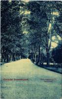 1911 Zsombolya, Hatzfeld, Jimbolia; Gróf Csekonics féle kert, kastélykert. W. L. 430. / castle park, garden