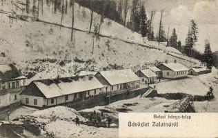 Zalatna mine